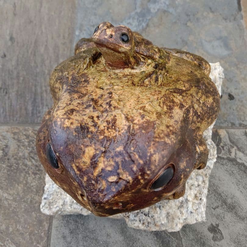 蛙 カエル かえる 陶器 置物 骨董品 アンティーク 信楽焼 開運 縁起物