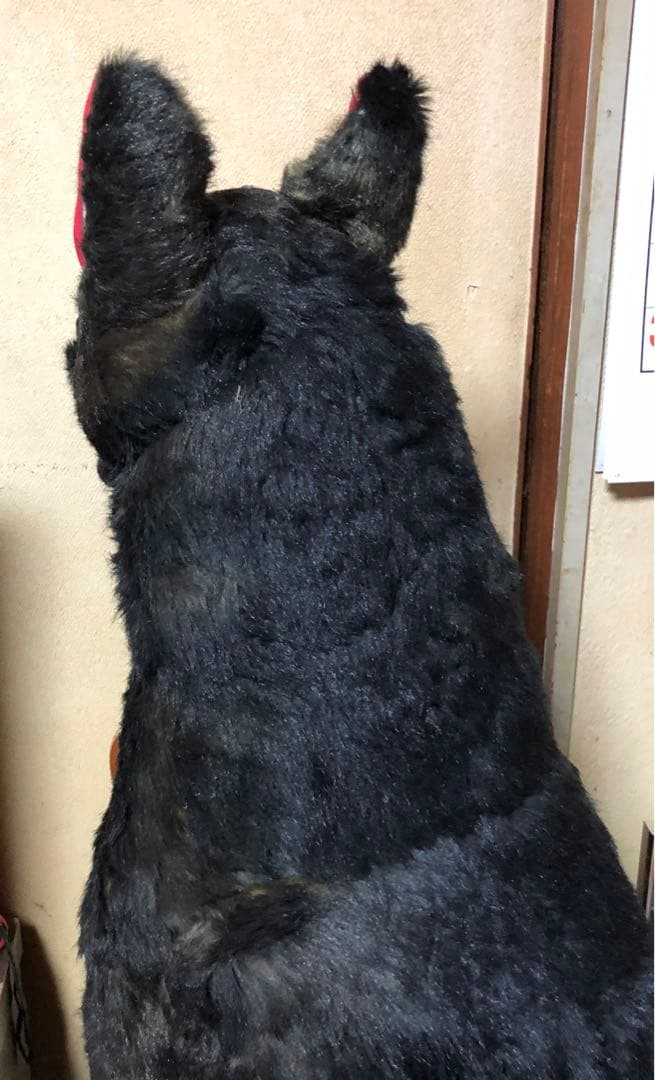 ☆大特価☆大型犬ぬいぐるみ 黒