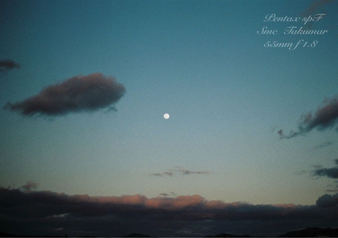 試写作例多数★pentax spf★リザード本革グリーン★美品＊完動品＊初期保証