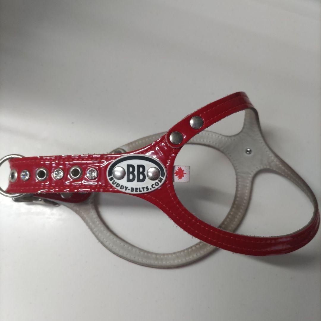 バディ－ベルト ハ－ネスBBベルト ６号エナメルレッド！ スワロフスキー付き