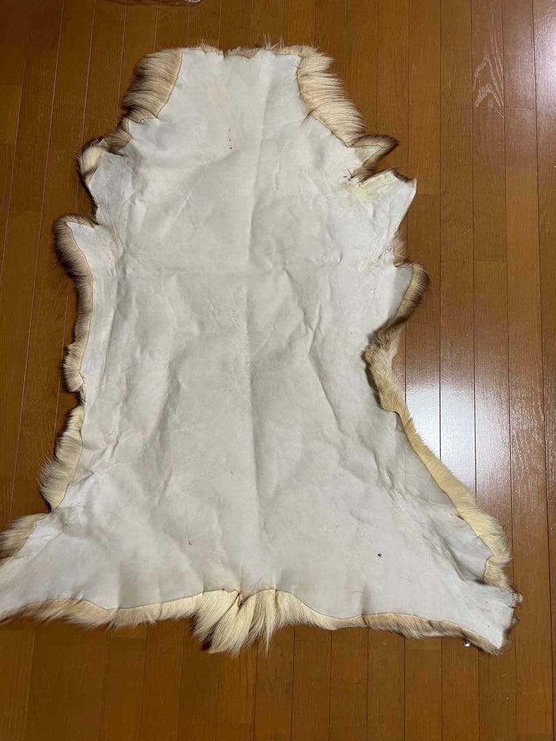 トナカイ毛皮　本物　高級品