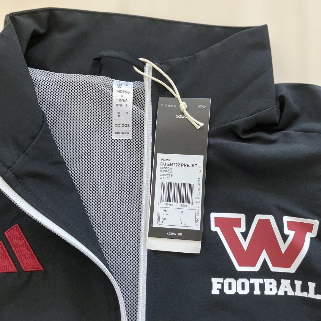 2枚　ピステ＋Tシャツ　早稲田大学アメフトBIG BEARS