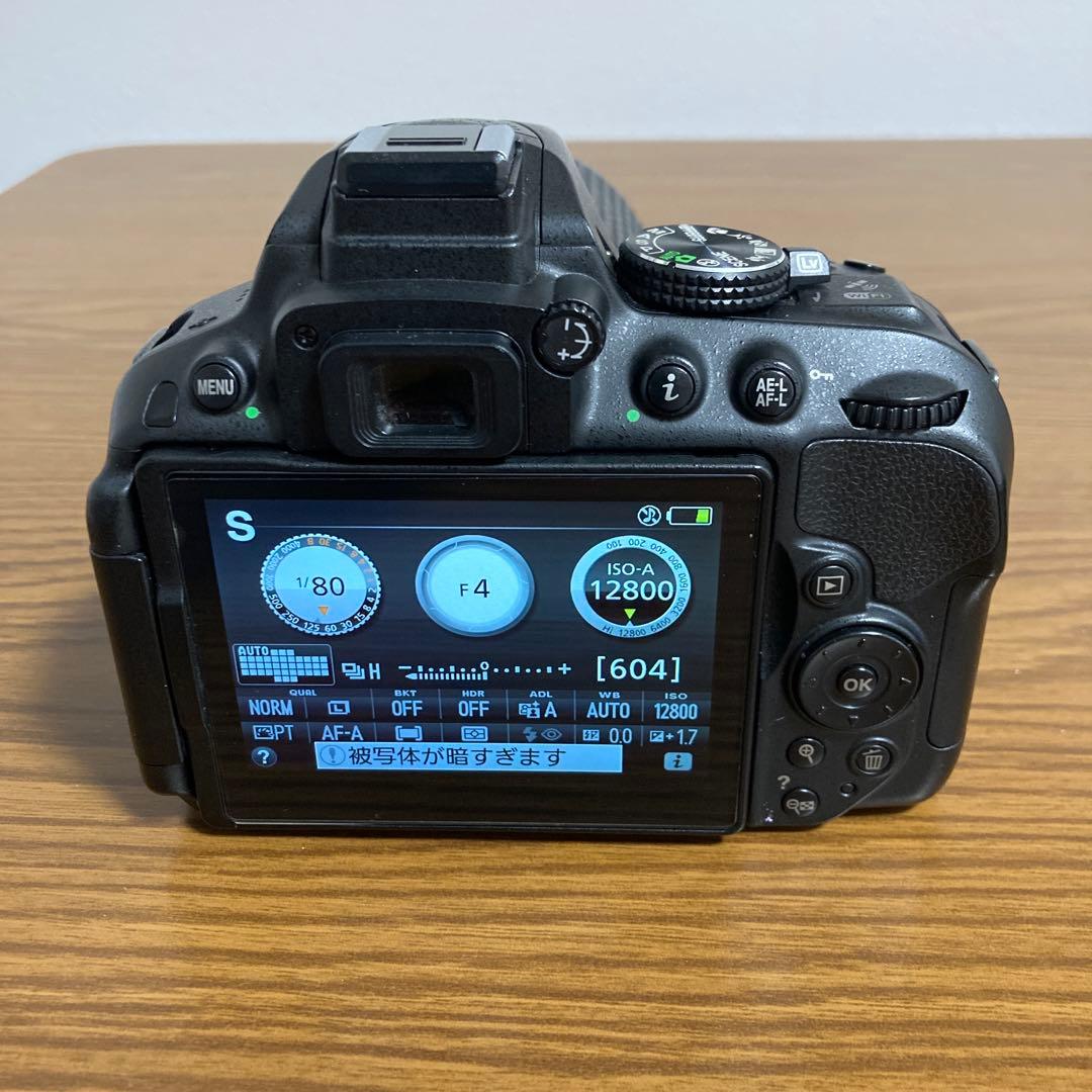 Nikon D5300 スマホに転送できるWiFi機能つき一眼レフ ニコン 希少