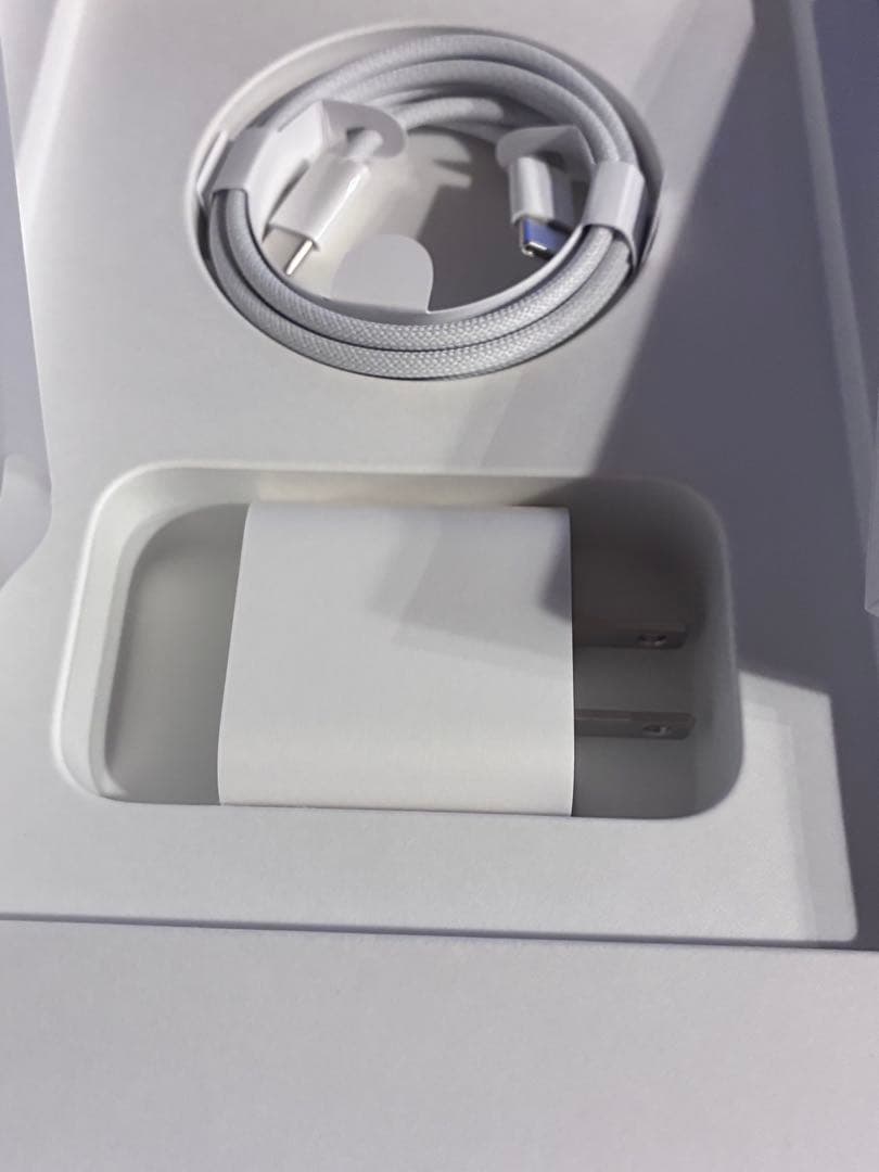 iPad mini A17Pro Wi-Fi Cellular 256 ブルー