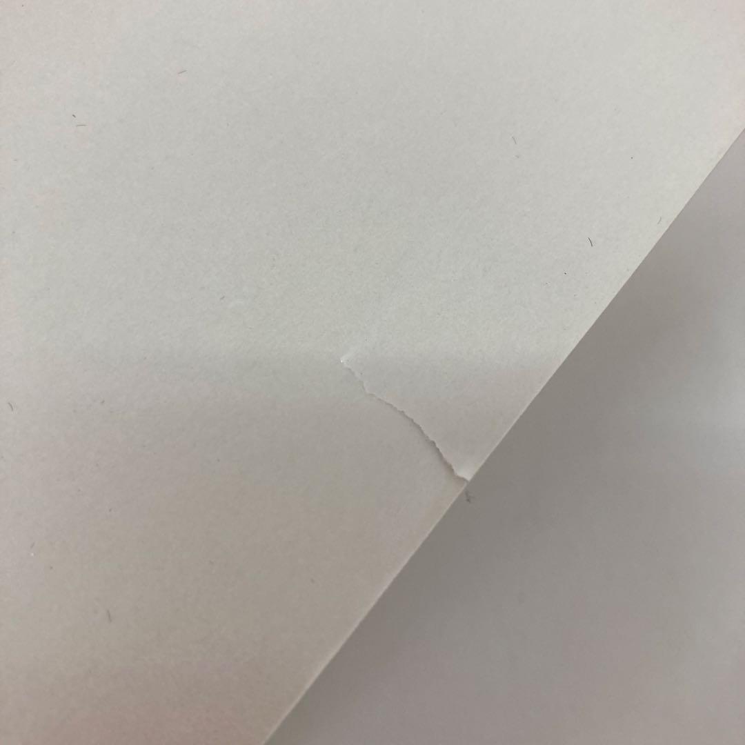 169-L ReFa CARAT リファカラット PEC-L1706