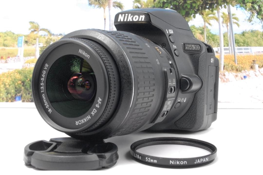 ✨高画質✨Nikon D5500 すぐスマホに送れる Wi-Fi搭載 動画撮影も