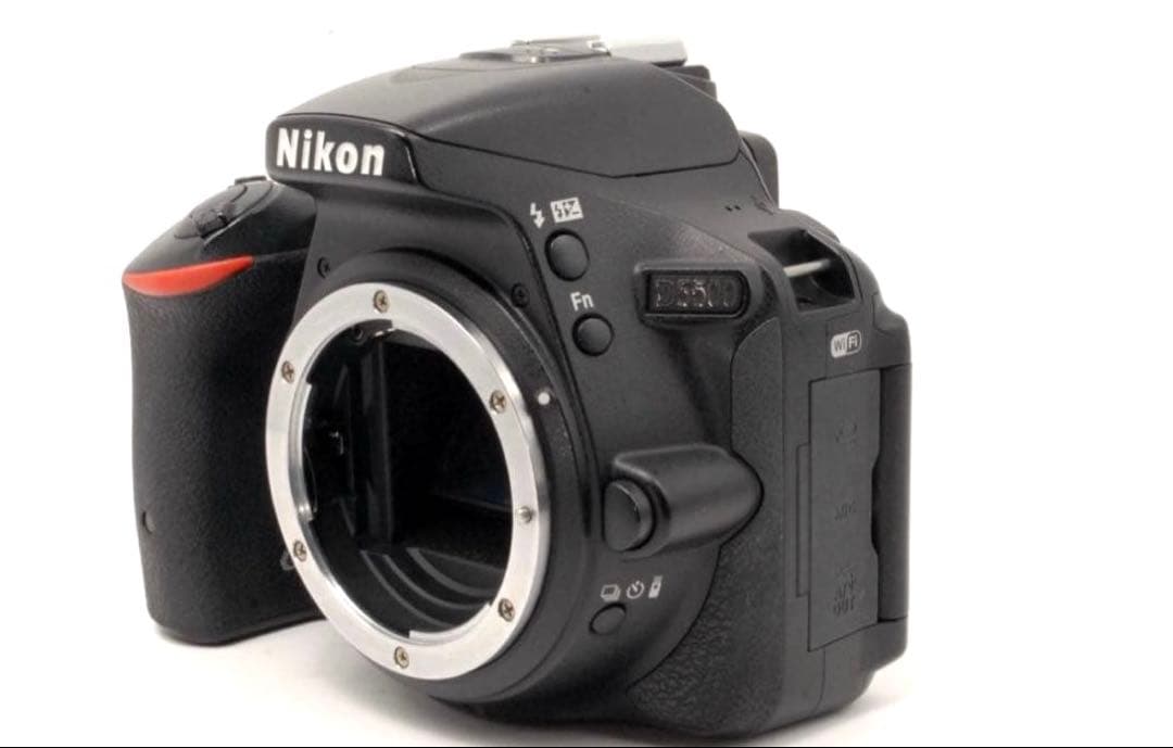 ✨高画質✨Nikon D5500 すぐスマホに送れる Wi-Fi搭載 動画撮影も