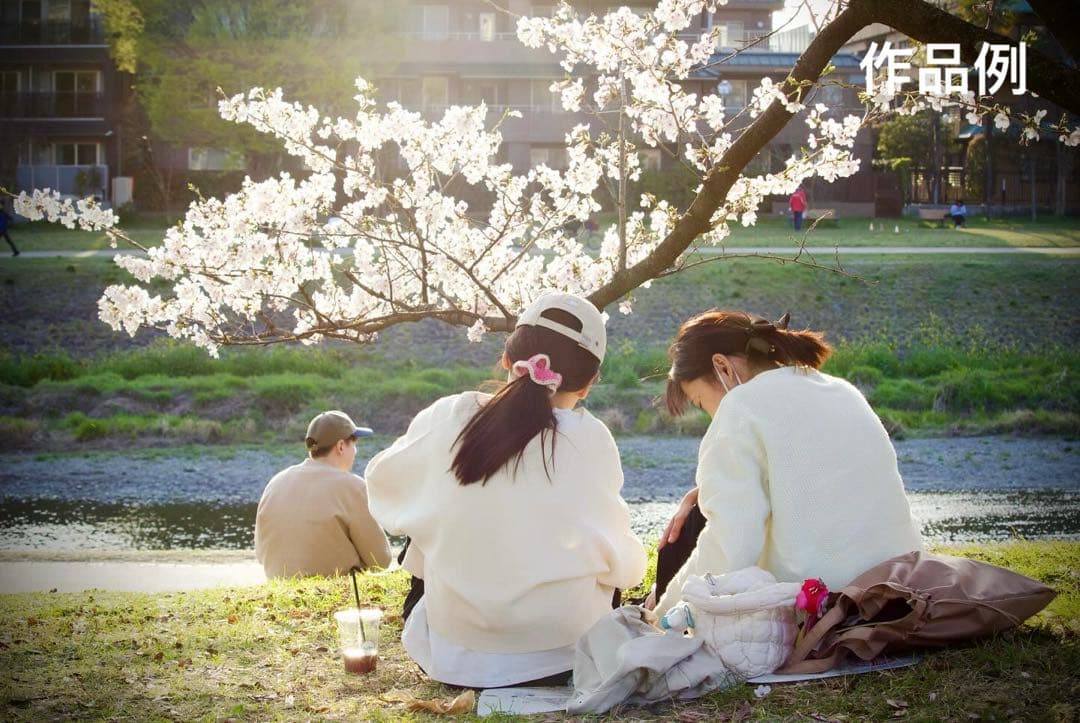 【美品】canon EF-S 55-250mm IS STM 望遠レンズ ⑤