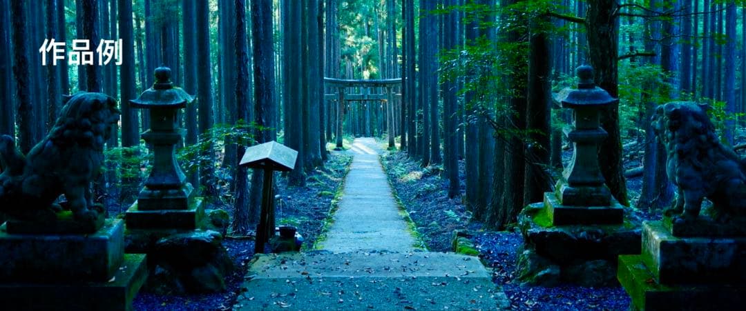 【美品】canon EF-S 55-250mm IS STM 望遠レンズ ⑤