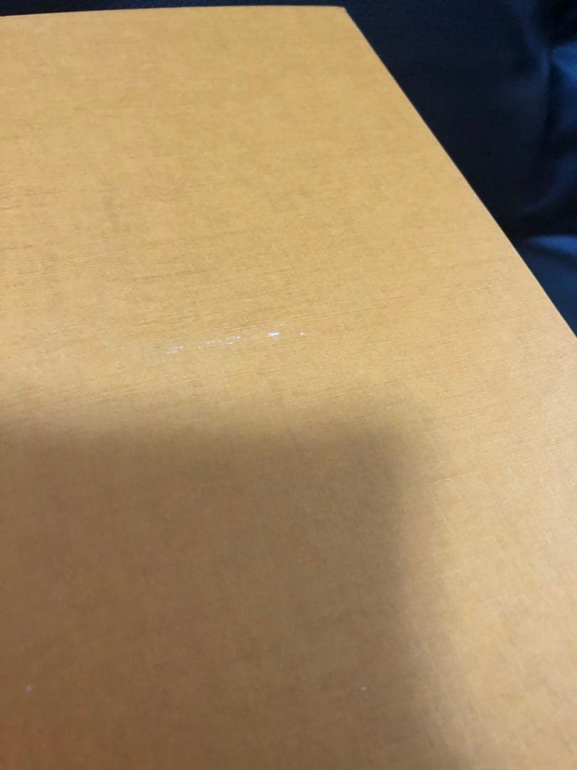 ルイヴィトン　大型バッグ等バッグ箱　巾着、保存袋　ショッパーまとめ売り