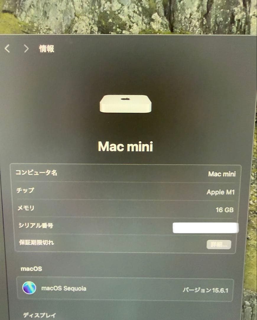M1 Mac mini（メモリ16GB）256GB ＋　Magic Mouse