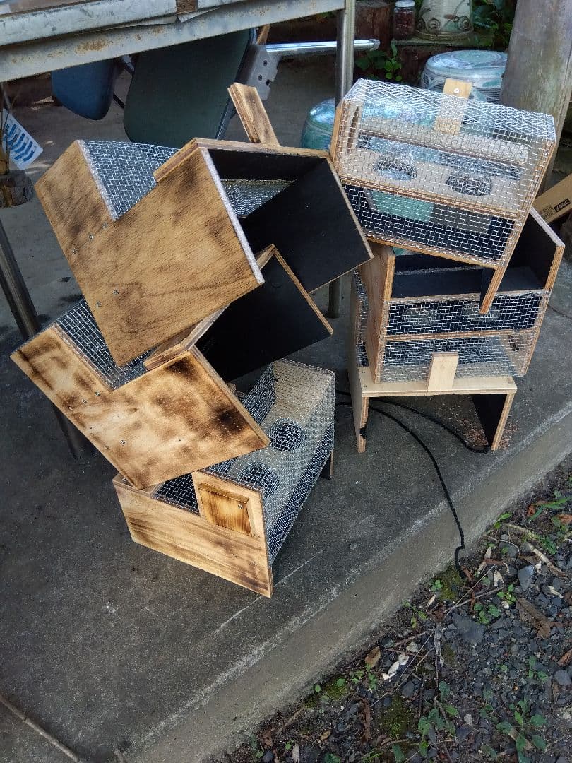 スズメバチトラップ ３個まとめ売り