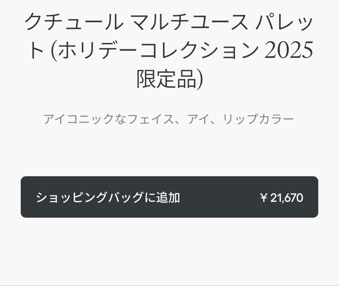 新品未使用　Dior ホリデーコレクション2025