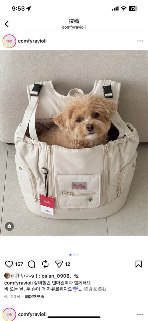 【COMFY RAVIOLI】テンマイルバッグ（フロントバッグ）