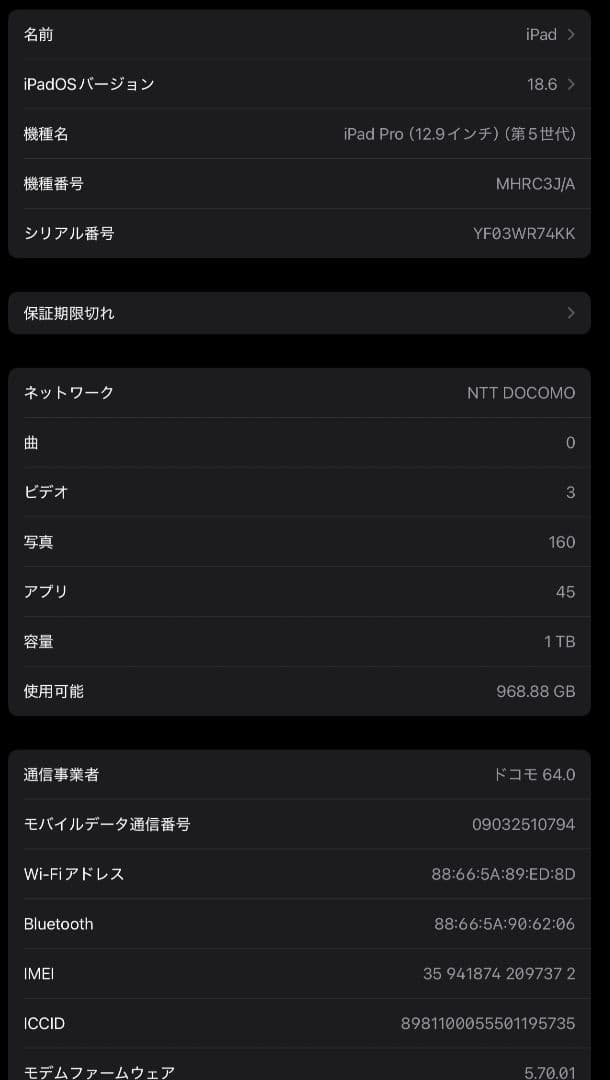 iPad Pro 12.9インチ 第5世代 1TB Cellular　ドコモ