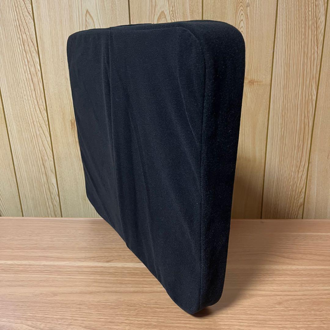 サテライト BODYLINE クッション バックハガー セット