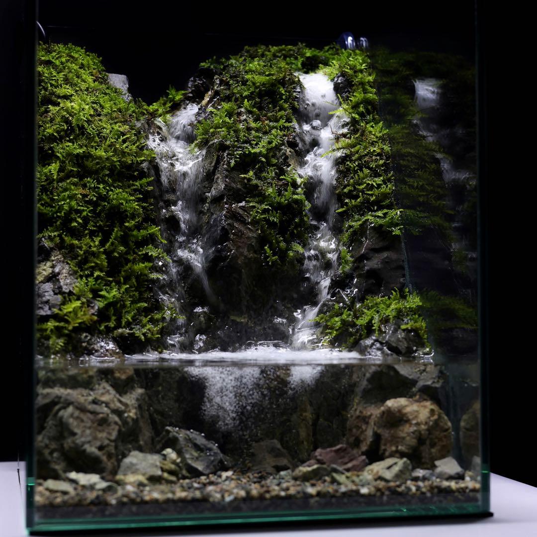 アクアテラリウム　レイアウト作品　228