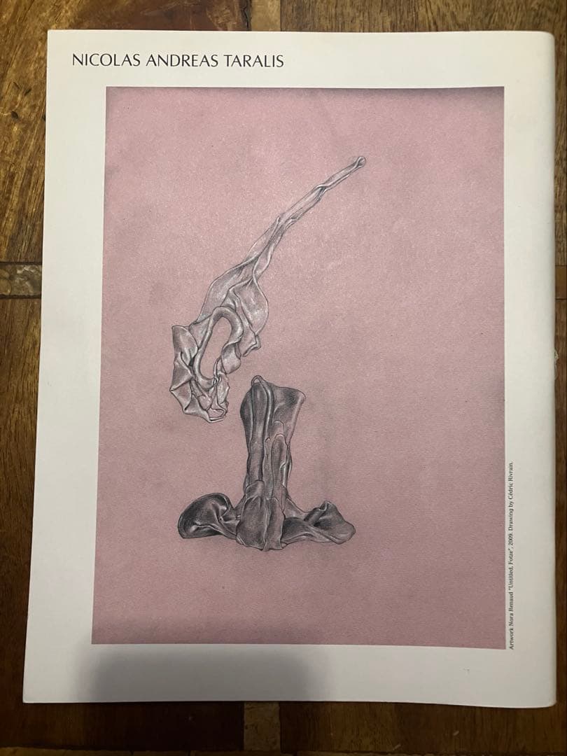 【希少】Kaws Paris,LA シルクスクリーンオリジナルポスター