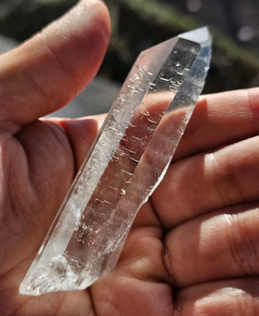 超希少‼️レコードキーパー入り‼️レムリアンシード