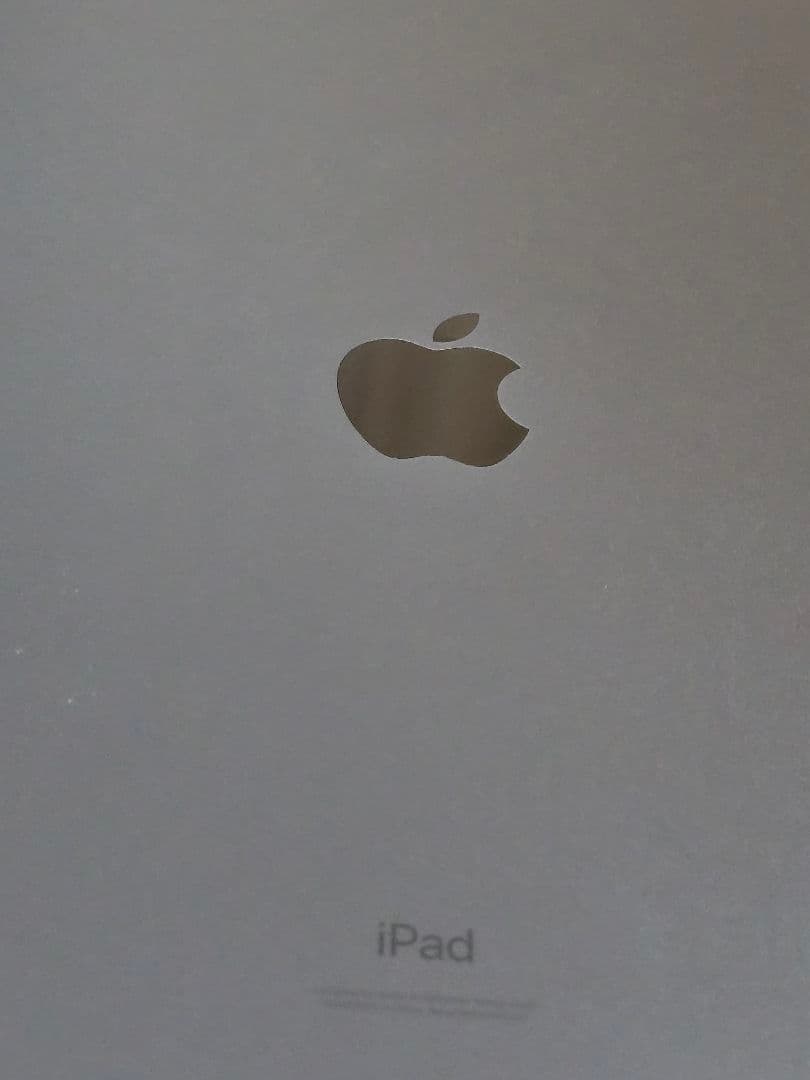 iPadPro 12.9 (第5世代) 512GB Wi-Fi+Cellular