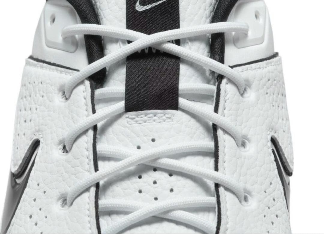 新品未使用 26cm NIKE ナイキ ビクトリー プロ メンズ ゴルフシューズ