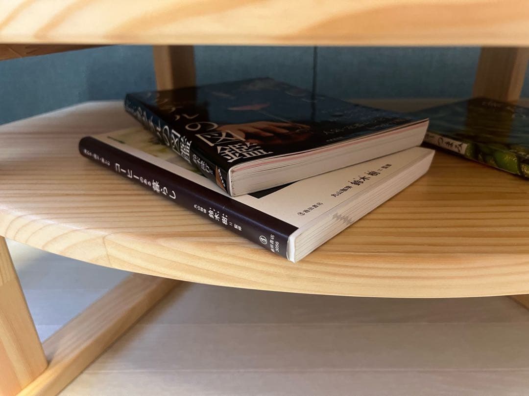 【在庫整理】 ローテーブル 扇形 90cm 45cm パイン ナチュラル