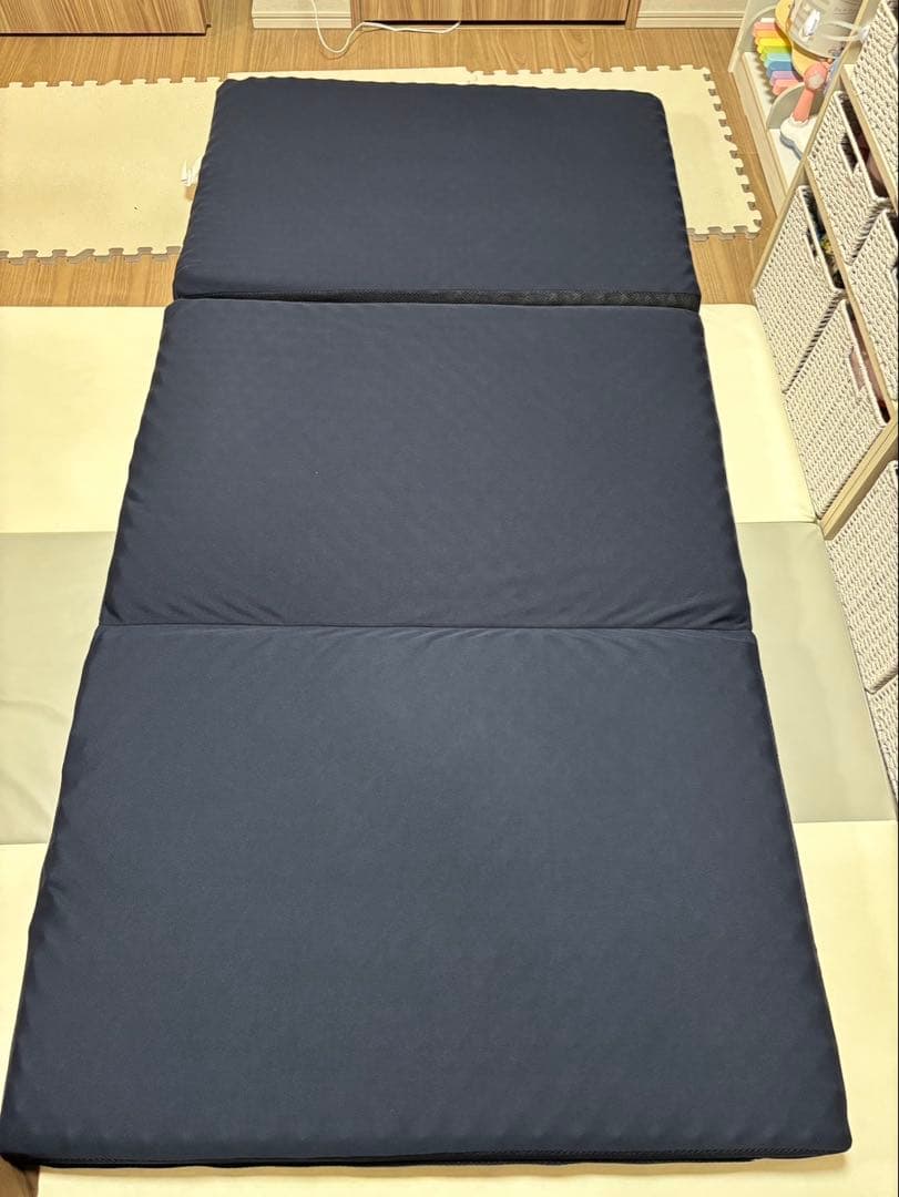 ニトリ 抗菌防臭機能付き 高反発敷布団(シングル 硬めタイプ)