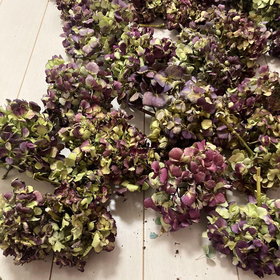 紫陽花44訳ありアジサイドライフラワー