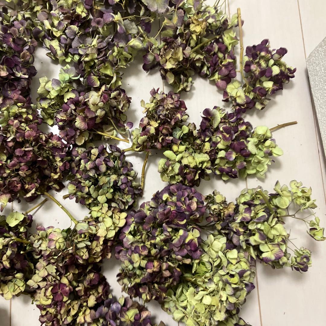 紫陽花44訳ありアジサイドライフラワー