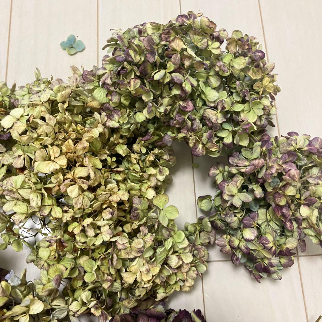 紫陽花44訳ありアジサイドライフラワー