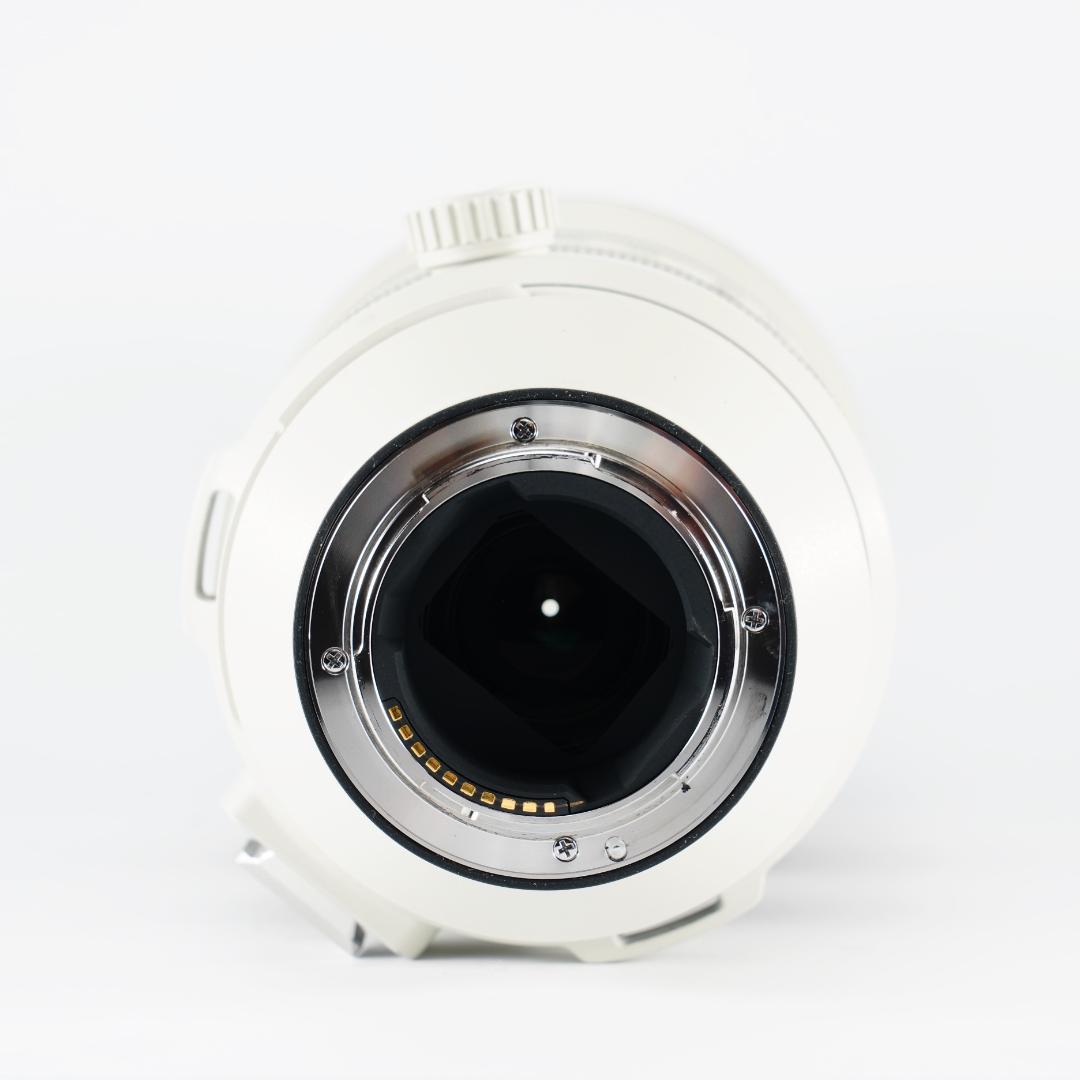 【プロ厳選】今まで撮れなかった写真が撮れるSEL200600G