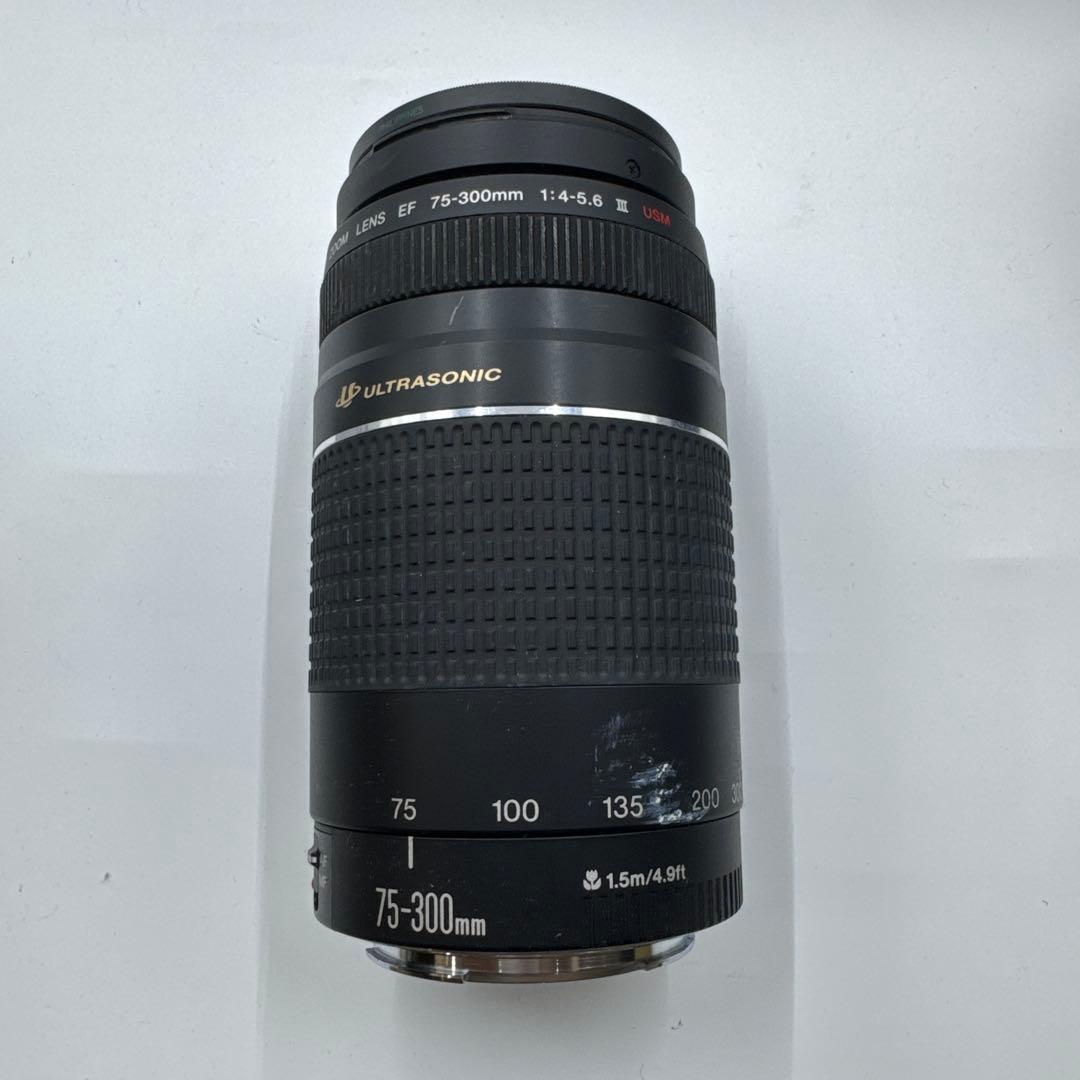 Canon EOS 10D 一眼レフカメラ レンズ2本付き