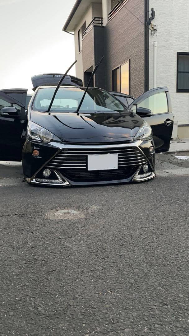 最終値下げ 走行300キロ未満 IDEAL TRUEVA極 アクア NHP10