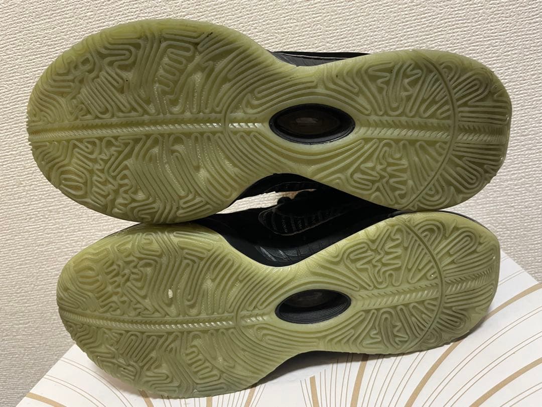 Nike レブロン 21 EP FB2236-001 タイタン