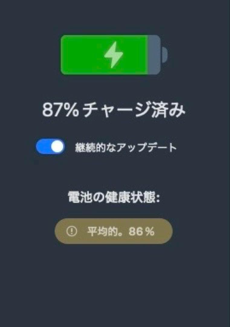 画面極美品　iPad Air 第4世代 Wi-Fi 256GB　スペースグレイ