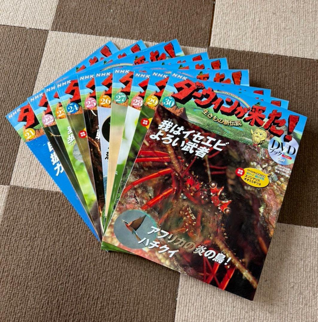 NHK　ダーウィンが来た　DVDセット47巻セット