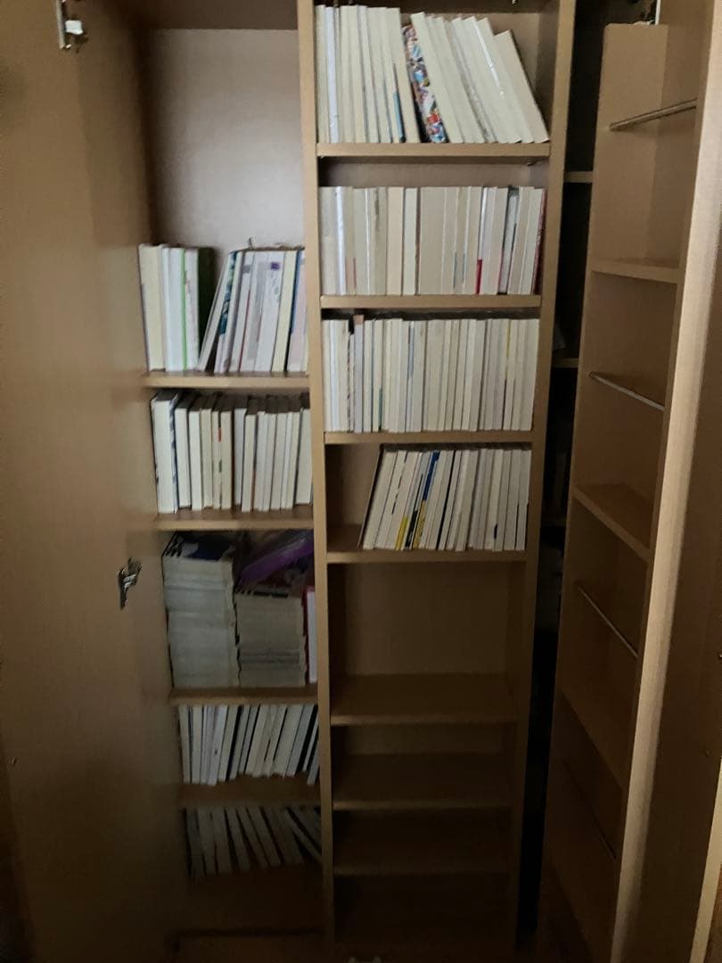 ナチュラル本棚 2扉 収納力抜群