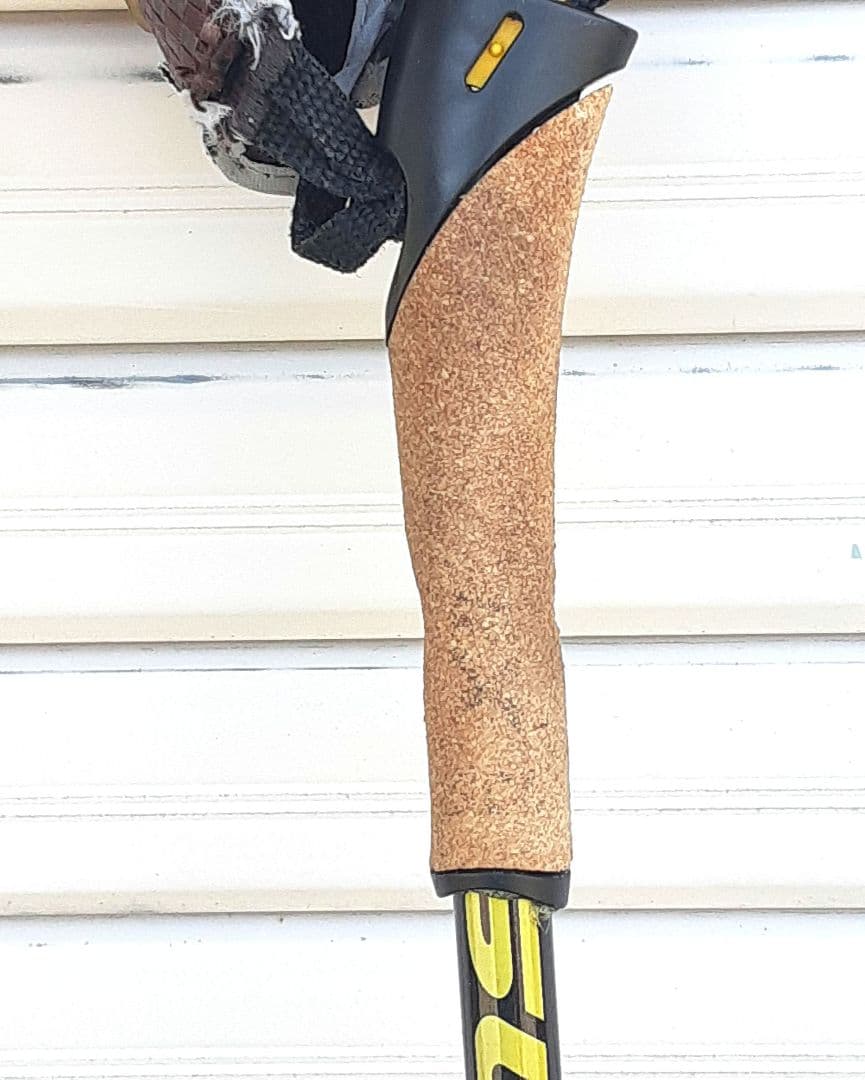 クロスカントリースキー　ポール　SWIX Star CT1