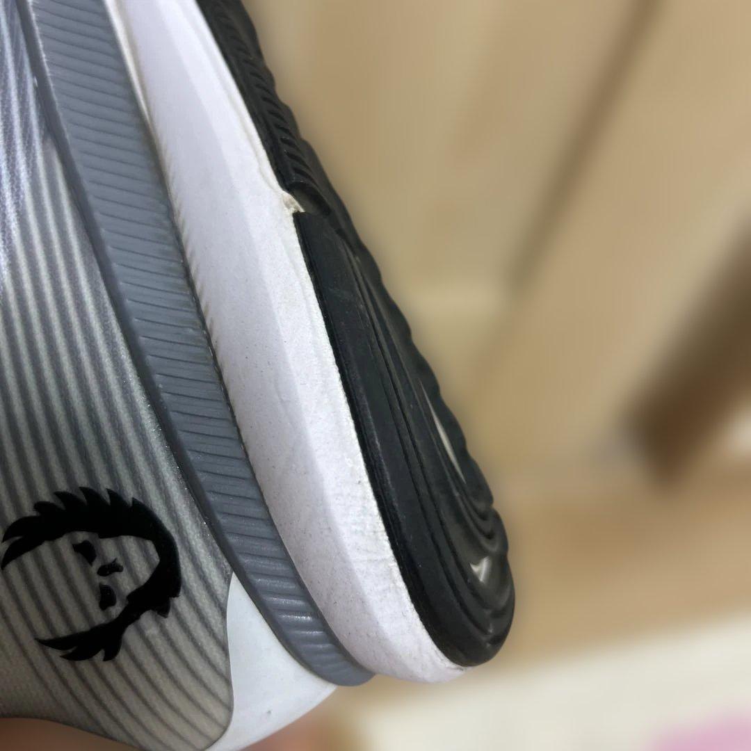 Nike Oregon project ペガサス　サイズ28cm