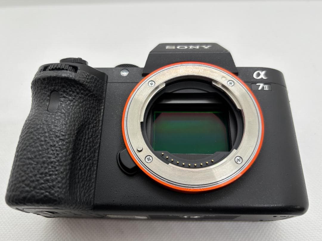 【ショット数：8,808枚】ソニー SONY α7 Ⅱ