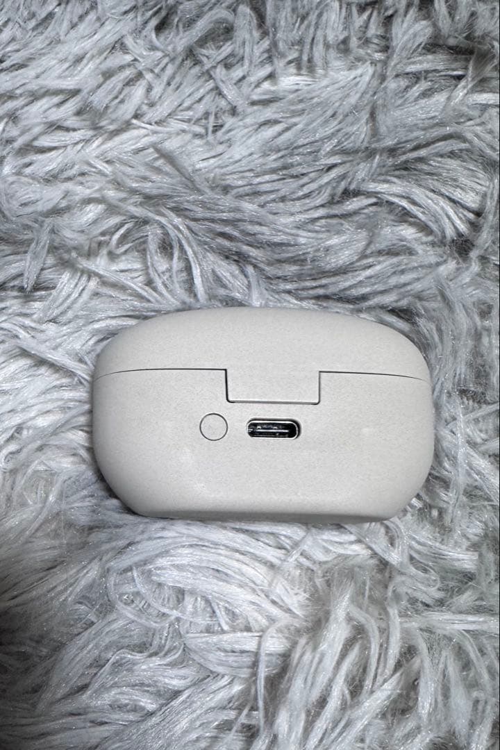 wf-1000xm5 プラチナシルバー 充電ケースのみ