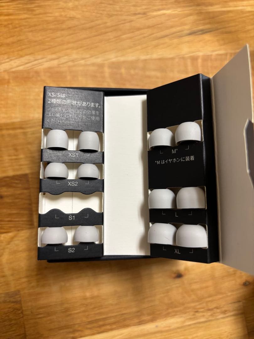 【美品】Technics AZ60M2 イヤホン シルバー