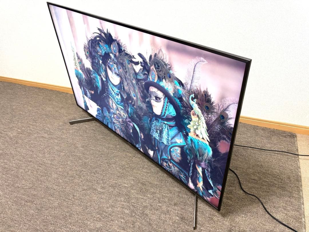 【ケン 】4K液晶テレビ KJ-49X9500G テレビ裏ラック付