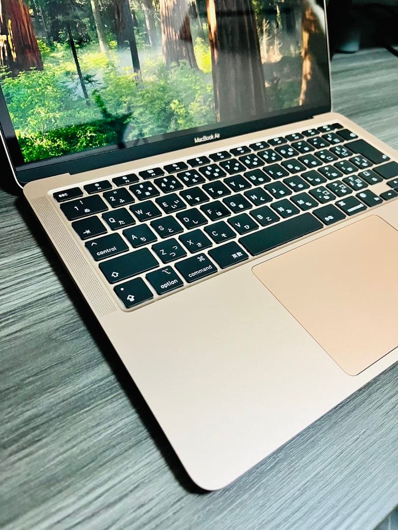 【美品】M1 MacBook Air 13インチ ゴールド 16GBメモリ