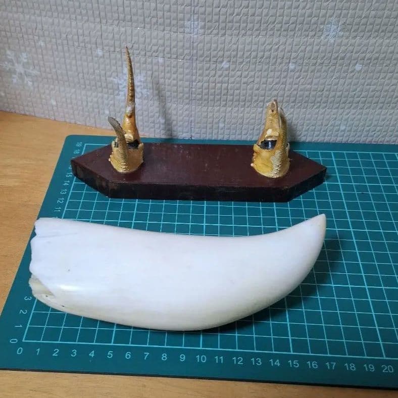 鯨の歯と台付き