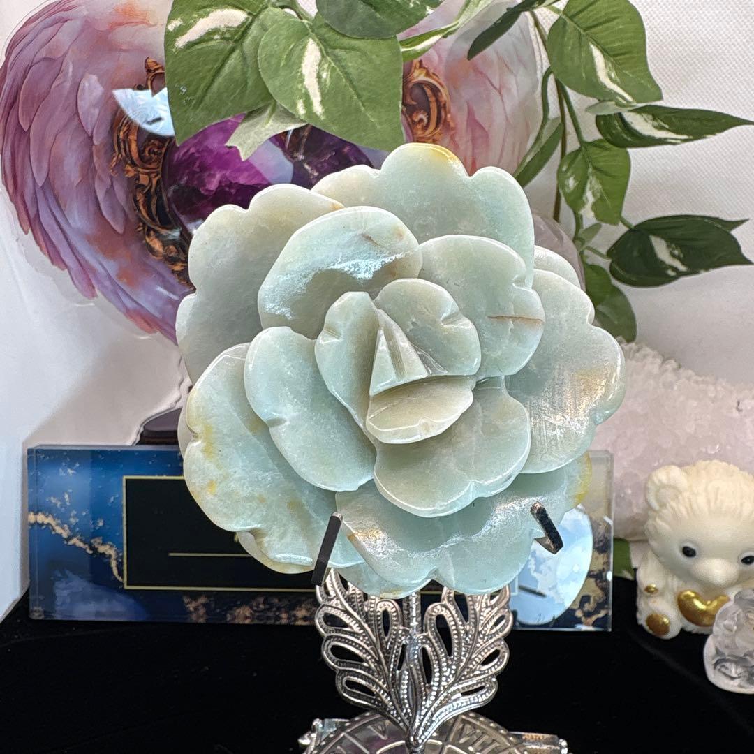 カリビアンカルサイト薔薇♡No.2108