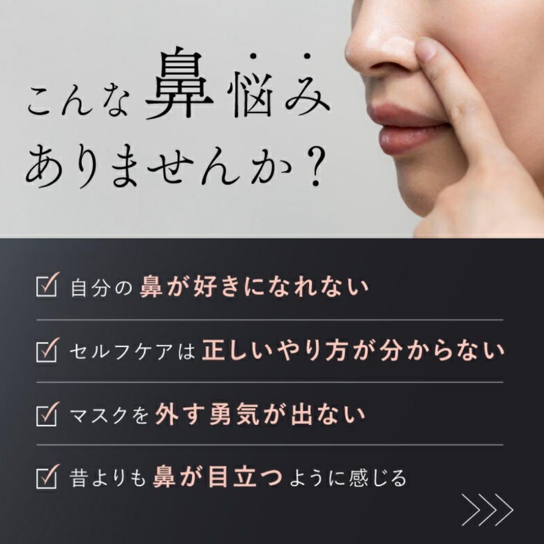 ほぼ未使用⭐︎NIPLUX Q Nose EMS美顔器 鼻専用