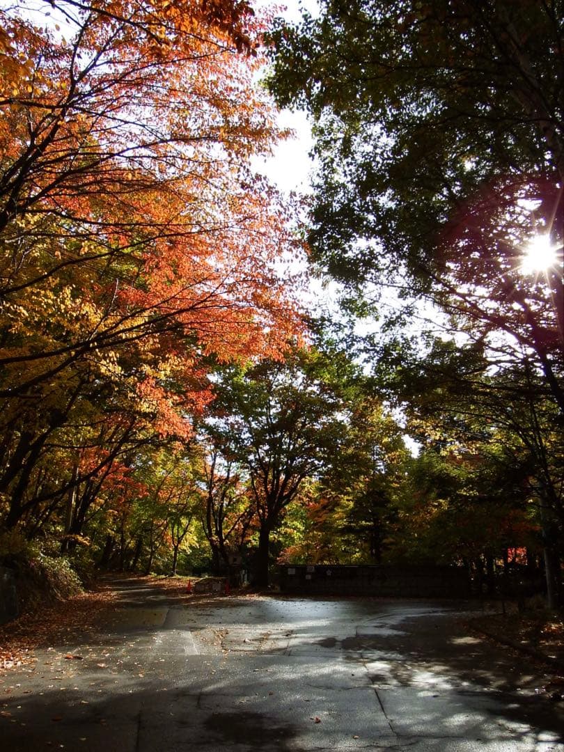 デジタルカメラ FUJIFILM FINEPIX S1