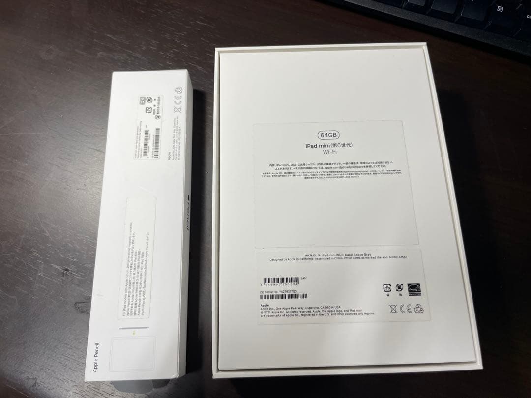 iPad本体 iPad mini6(64GB Wi-Fi) + Apple Pencil2