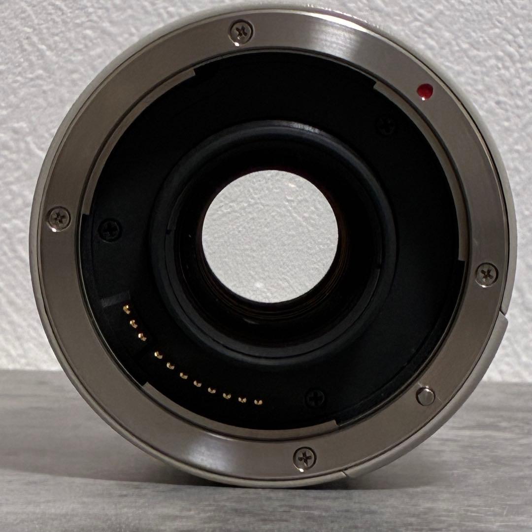 ⭐️良品⭐️ キャノン CANON EXTENDER EF 2x